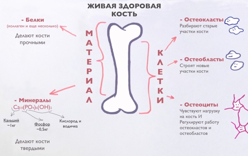 Примечание
